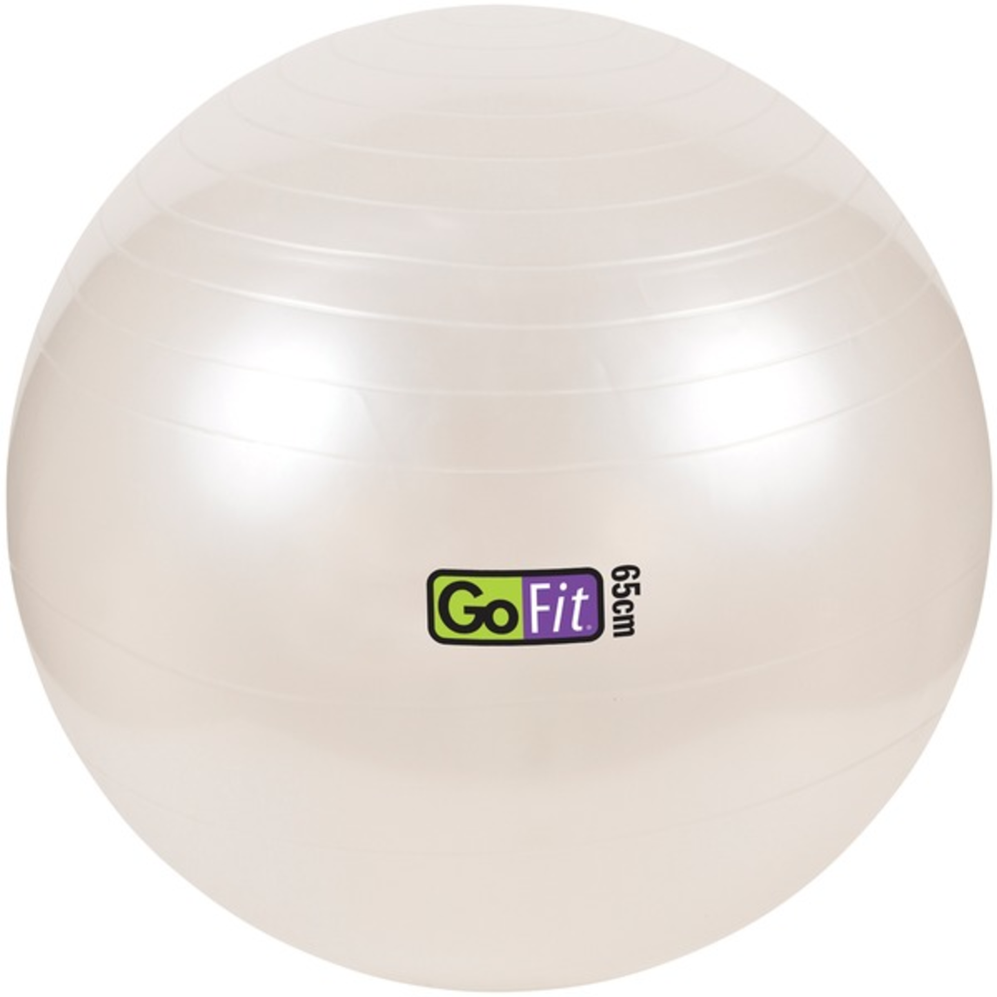 65CM EXERCISE BALL WITH