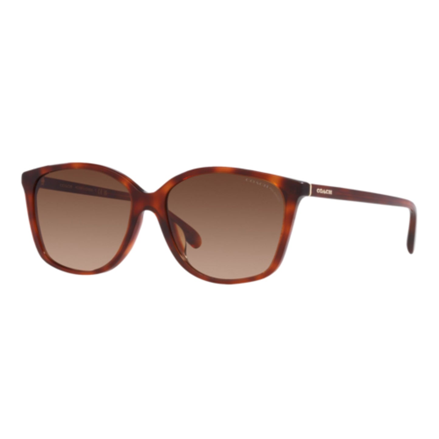 COACH WOMEN'S POLARIZED CH558 SUNGLASSES