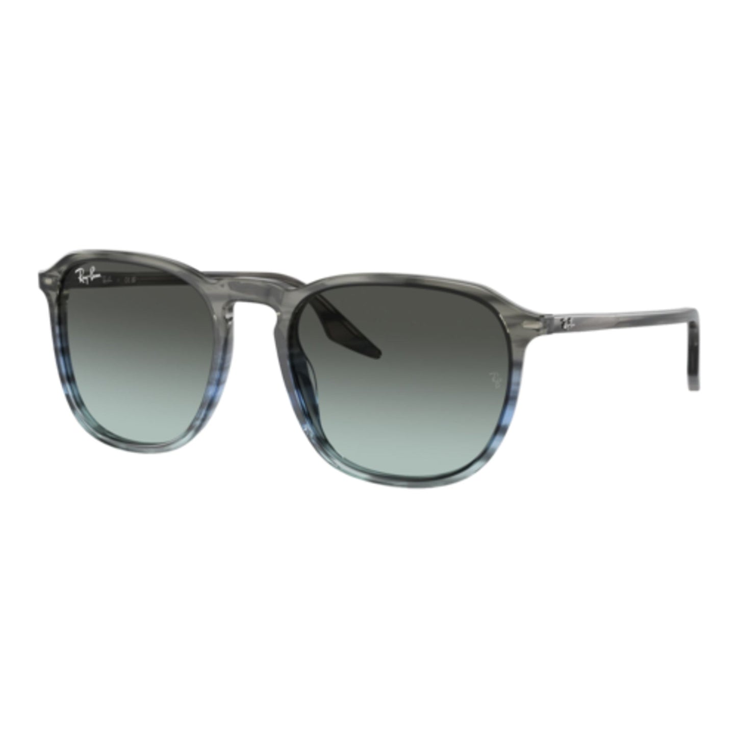 RAY-BAN RB2203 SUNGLASSES
