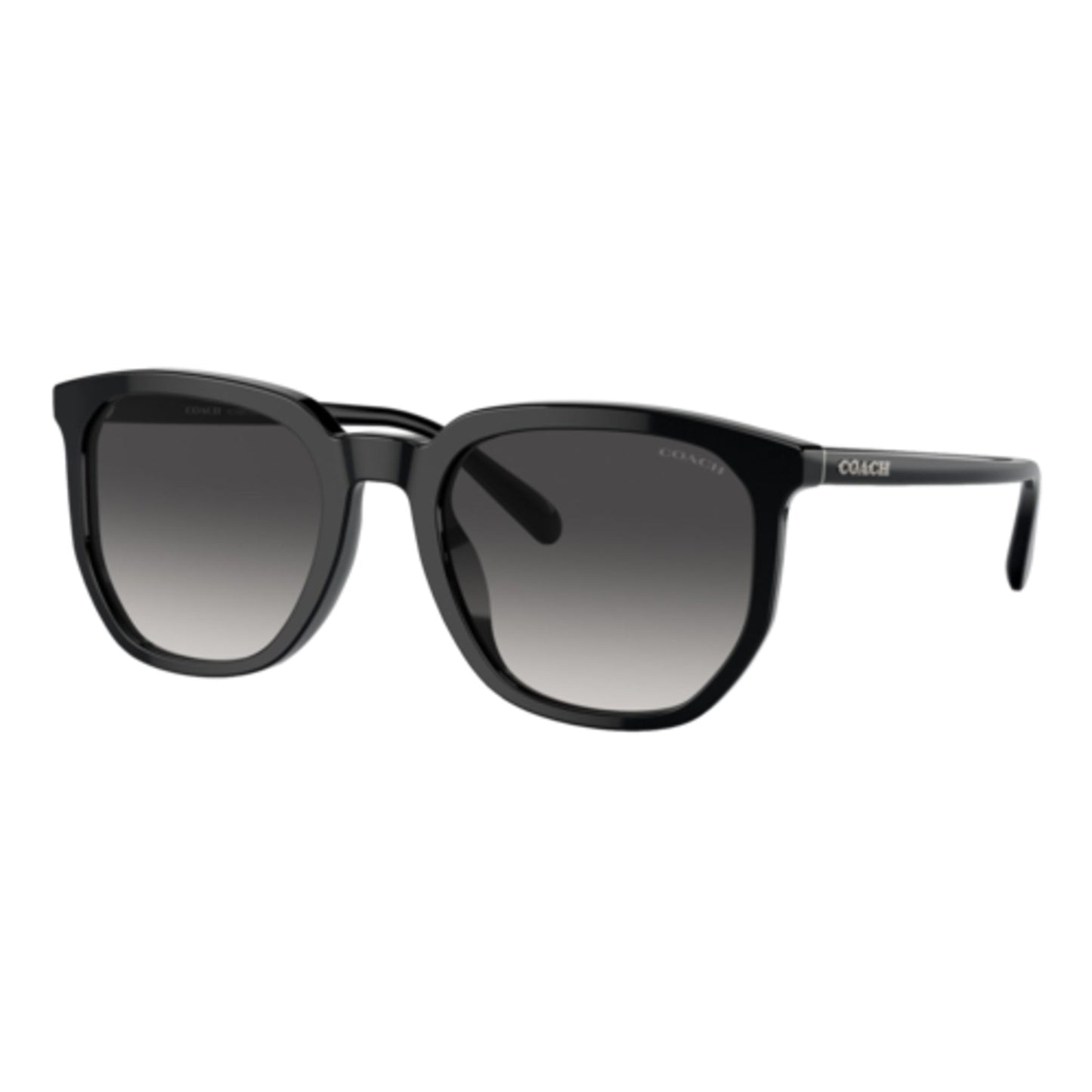 COACH HC8384U SUNGLASSES