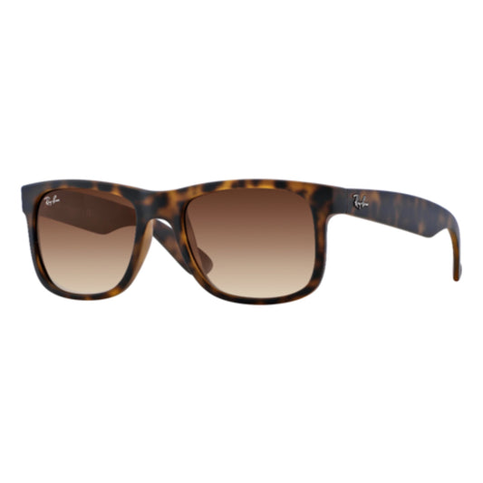 RAY-BAN JUSTIN CLASSIC SUNGLASSES