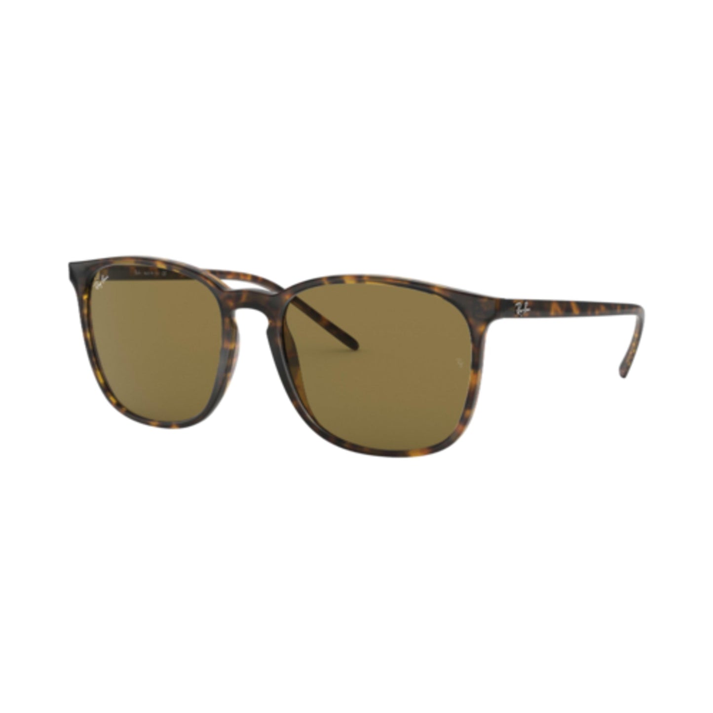 RAY-BAN RB4387 SUNGLASSES