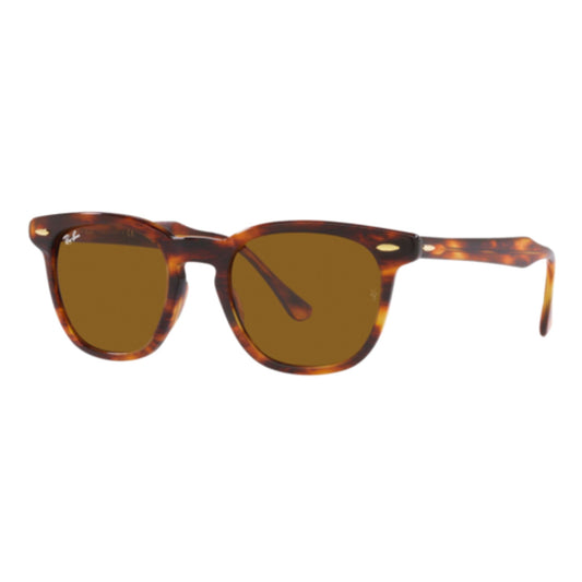 RAY-BAN HAWKEYE SUNGLASSES
