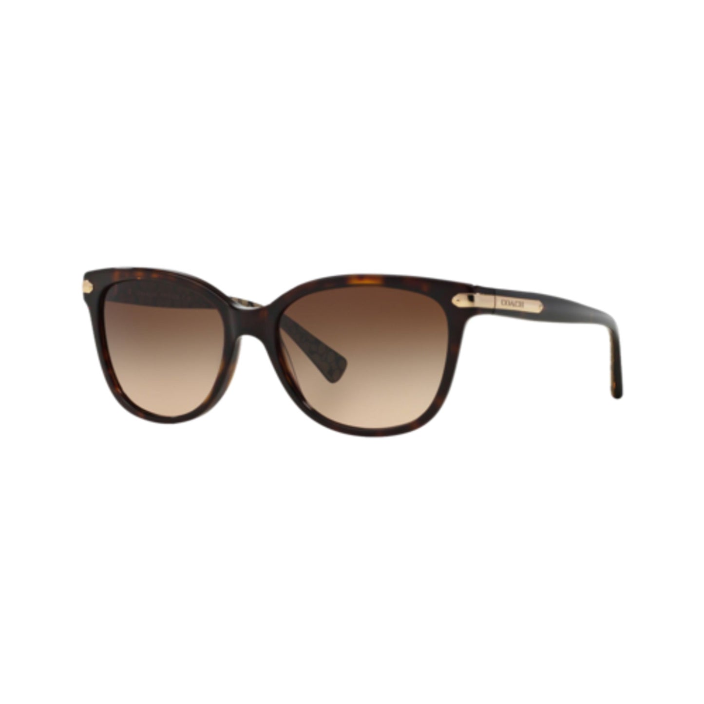 COACH WOMEN'S HC8132 SUNGLASSES