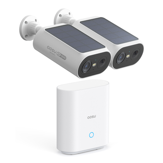 2CAM SLR SPT SEC W/LCL ST