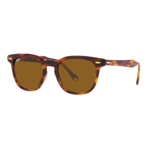 RAY-BAN HAWKEYE SUNGLASSES