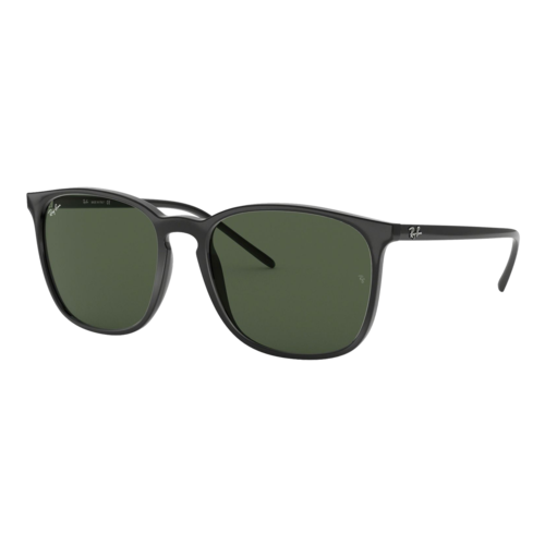 RAY-BAN RB4387 SUNGLASSES