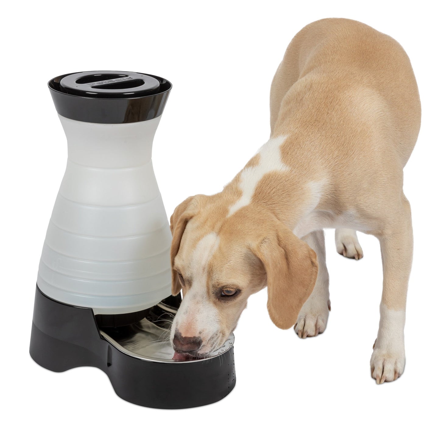 HEALTHY PET WATER STATION - MEDIUM