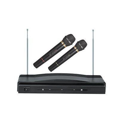 PROFESSIONAL DUAL WIRELESS MICROPHONE SYSTEM