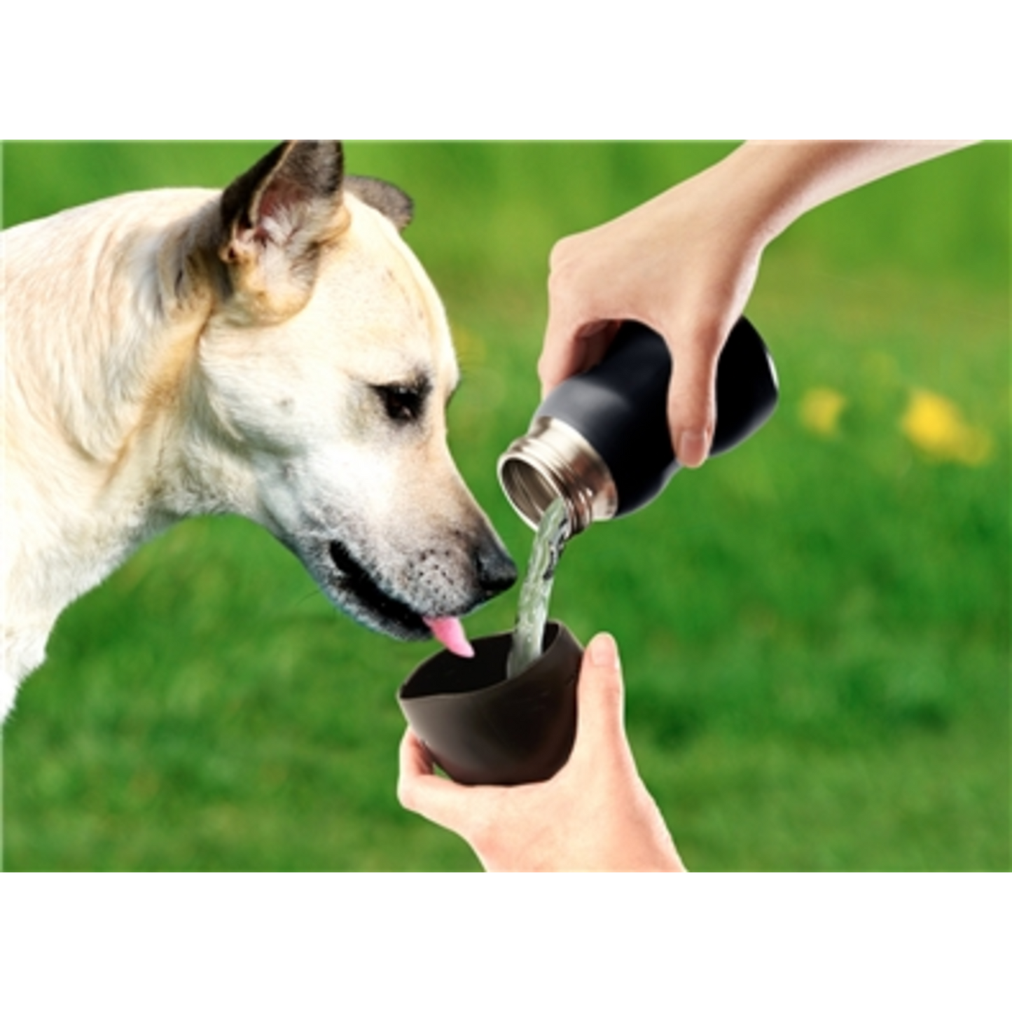 MDG 25 OZ WATER BOTTLE, BLACK, LG