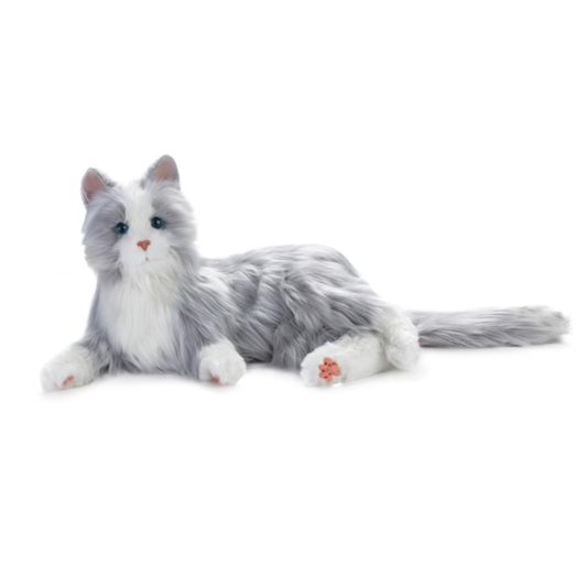 PET CAT SLVR W/WHT MITT