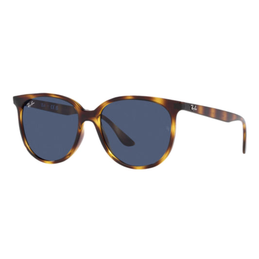 RAY-BAN RB4378 SUNGLASSES